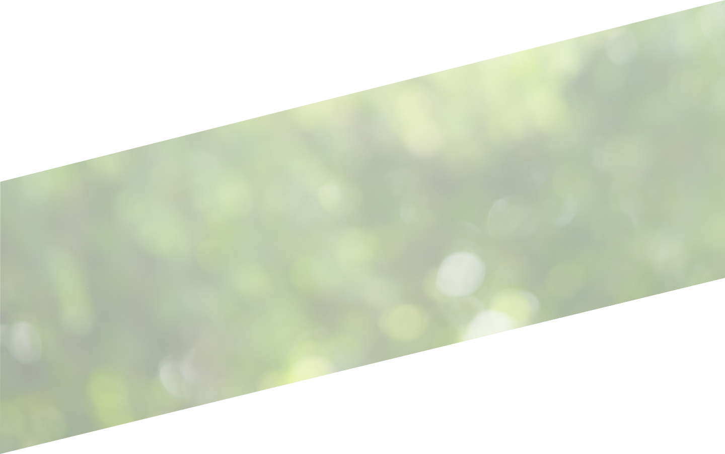 blurred-greenery-bg