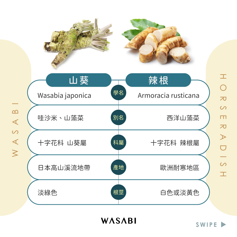 山葵與辣根的差異